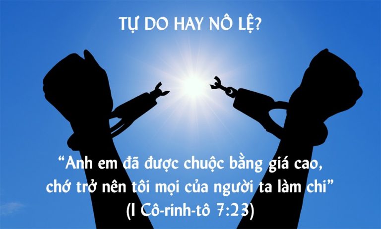 TỰ DO HAY NÔ LỆ?