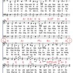 70645400_507395283169533_4041904150722641920_n