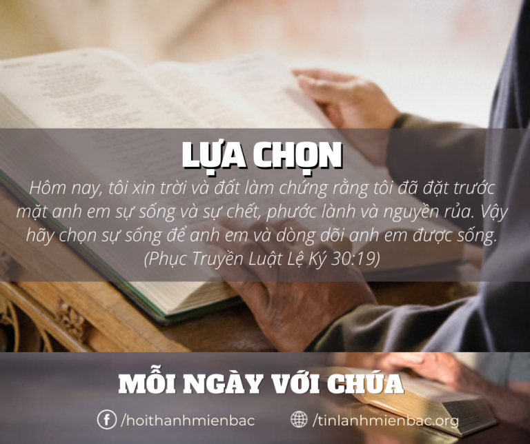 Bài 10 Lựa Chọn