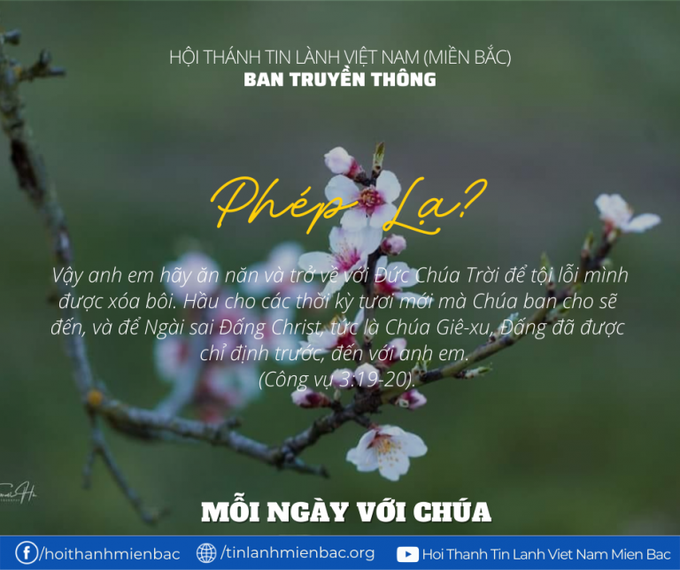 Bài 37: Phép Lạ?