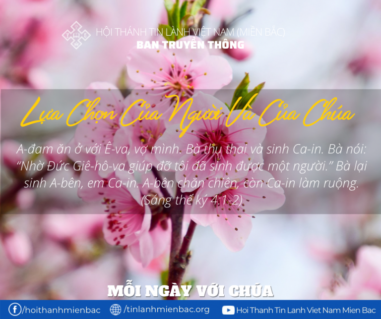 Bài 34: Lựa Chọn Của Người Và Của Chúa