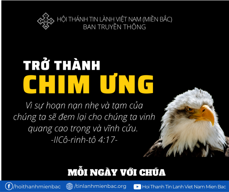 Bài 59: Trở Thành Chim Ưng