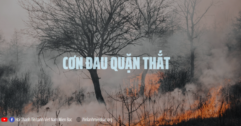 Ngày 29 tháng Mười Một  CƠN ĐAU QUẶN THẮT