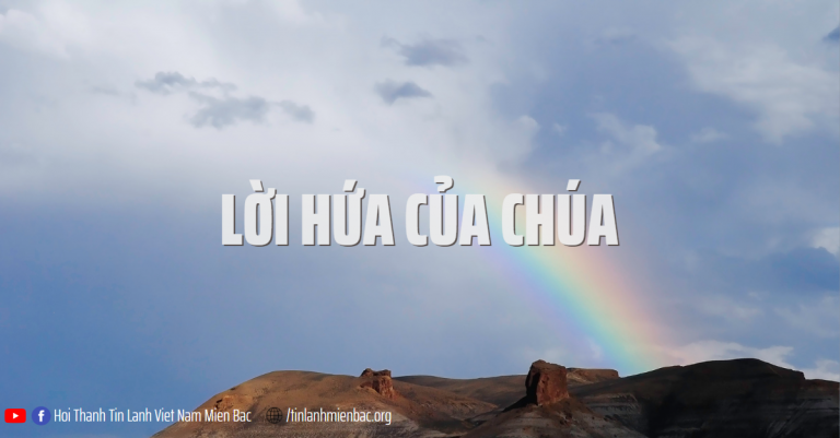 Bài thứ 342  Lời hứa của Chúa