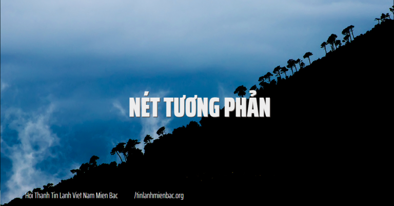 Bài thứ 349  Nét tương phản