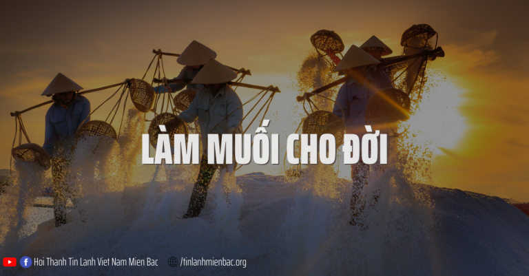 Bài thứ 361  Làm muối cho đời