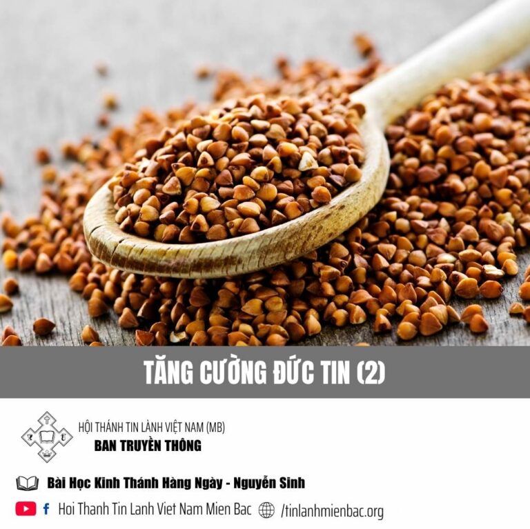 Tăng Cường Đức Tin (2) 